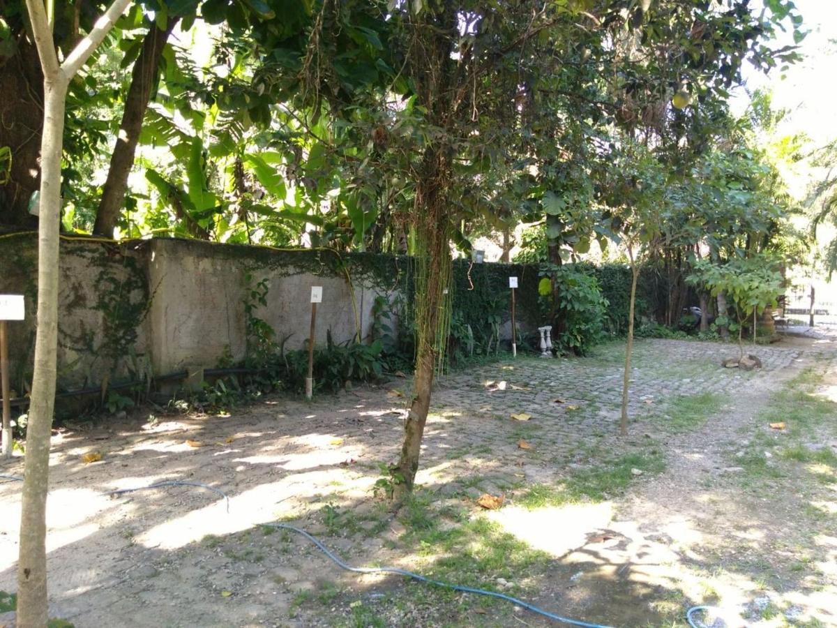 Rio Natureza Apart 111 Rio de Janeiro Dış mekan fotoğraf